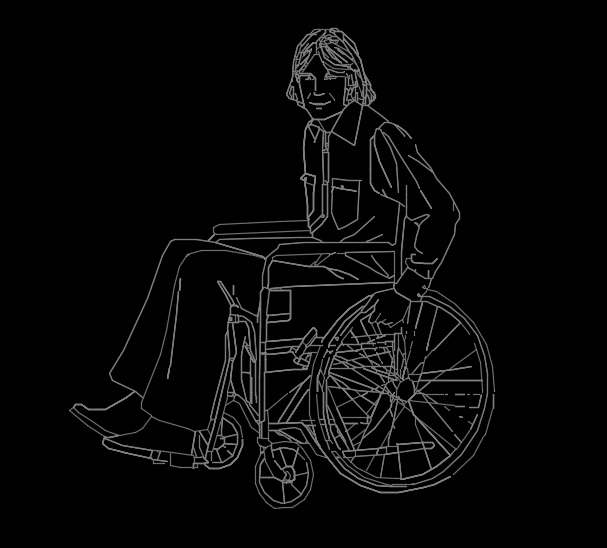 Handicap 12 Long Hair